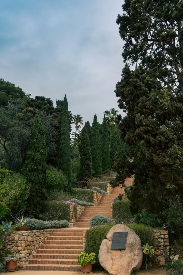 Escalier de pierre entre des terrasses plantées, murets et grands cyprès